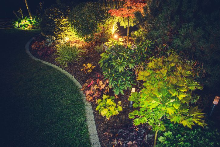 Polk Electric LLC | Illuminated Backyard Garden